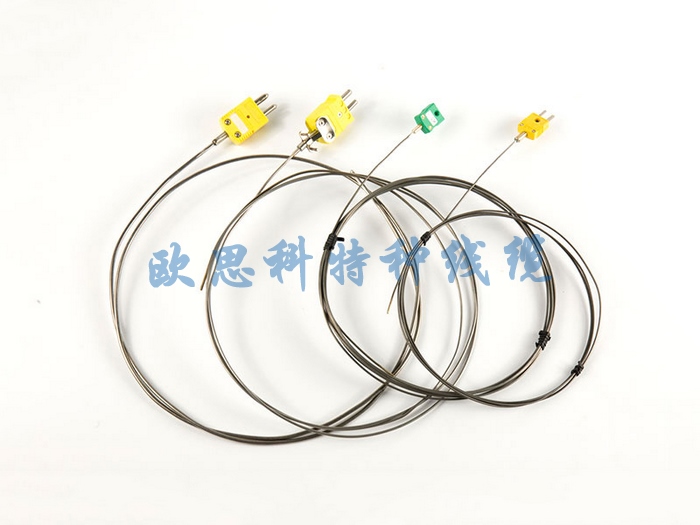 Armored thermocouple with plug