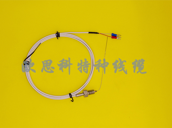 Type E screw-type armored thermocouple